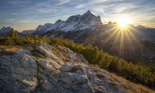 Why did God create the earth?