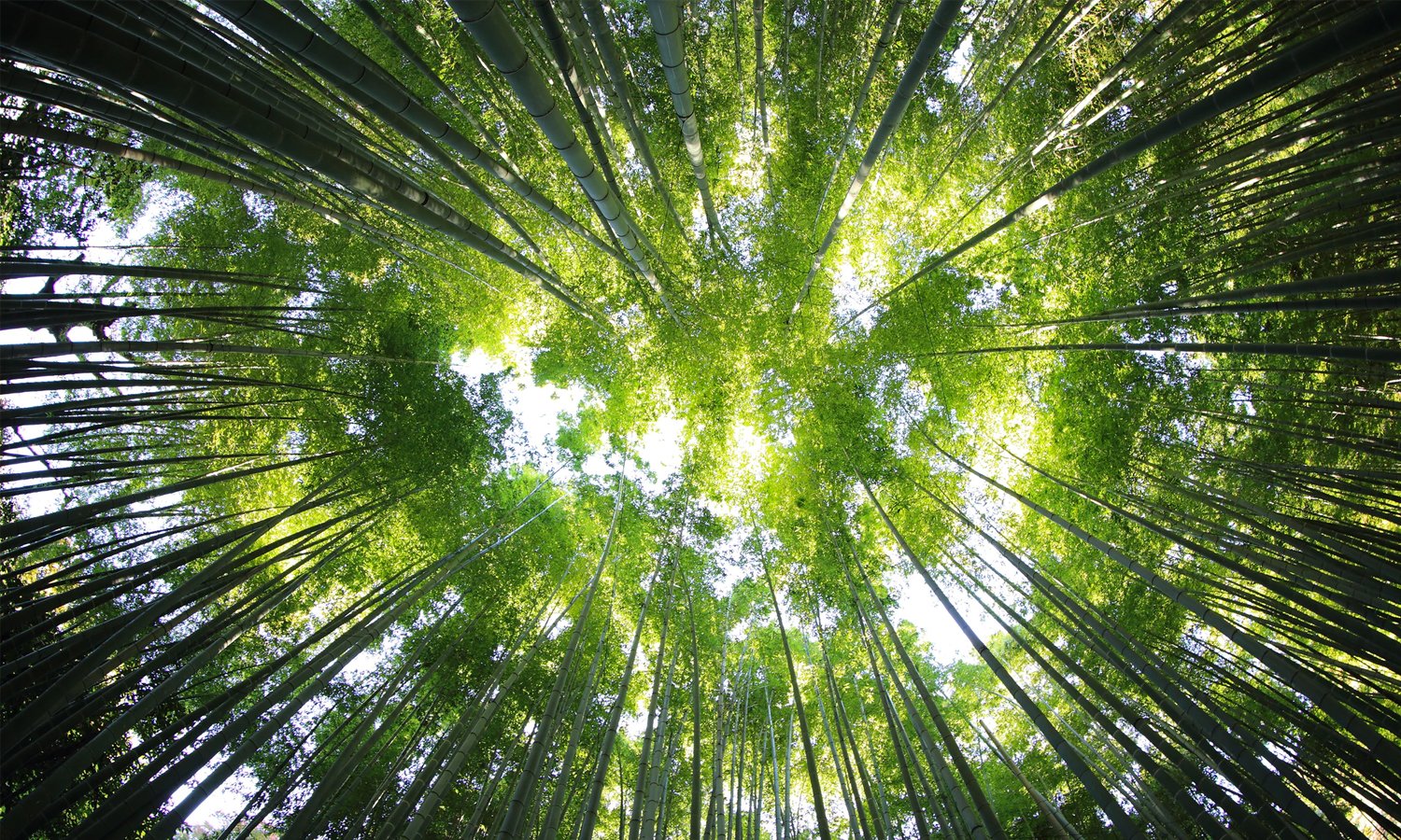 How to grow spiritually?