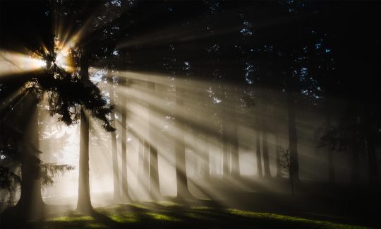 Why do people love darkness more than light?
