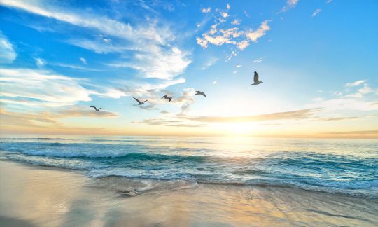 How can I become more Christ like?
