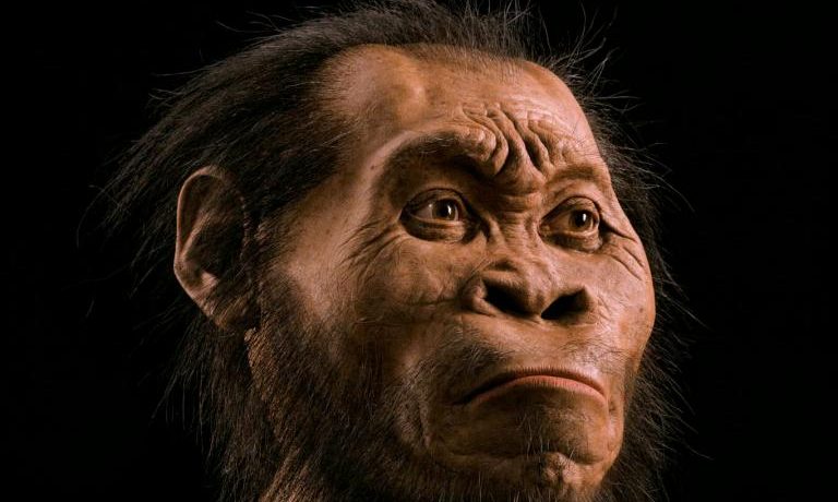 Ape human