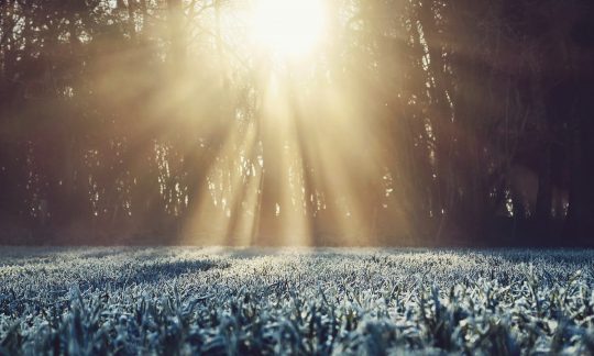 Did Jesus exist before He was born?