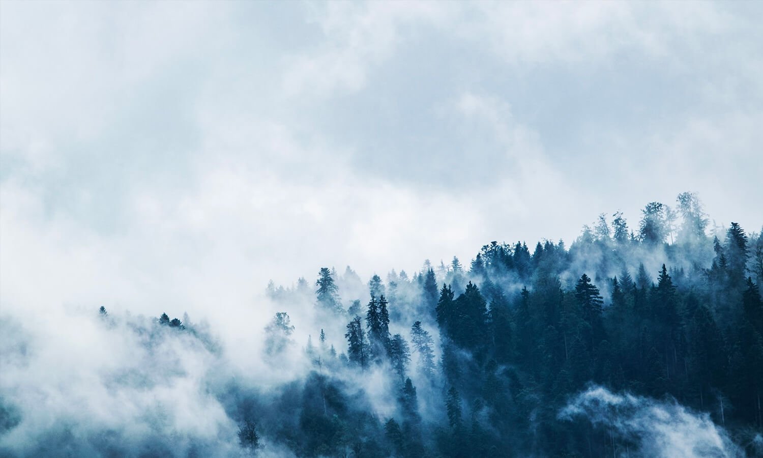 Was Jesus really God?