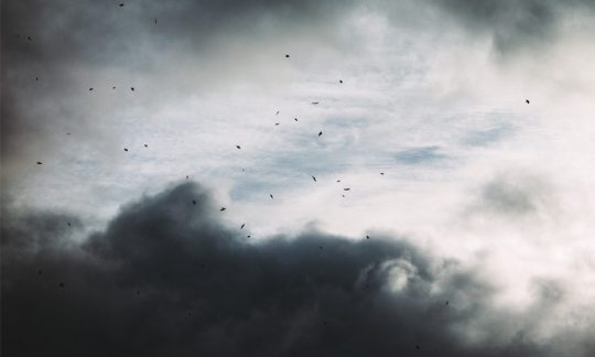 Where did evil come from?