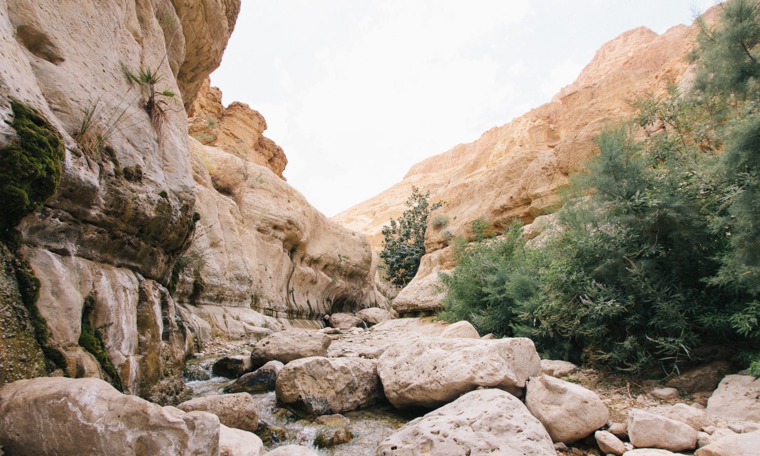 Mountains Israel