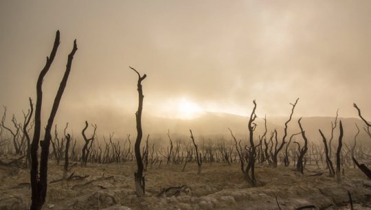 Why does God hate sin?