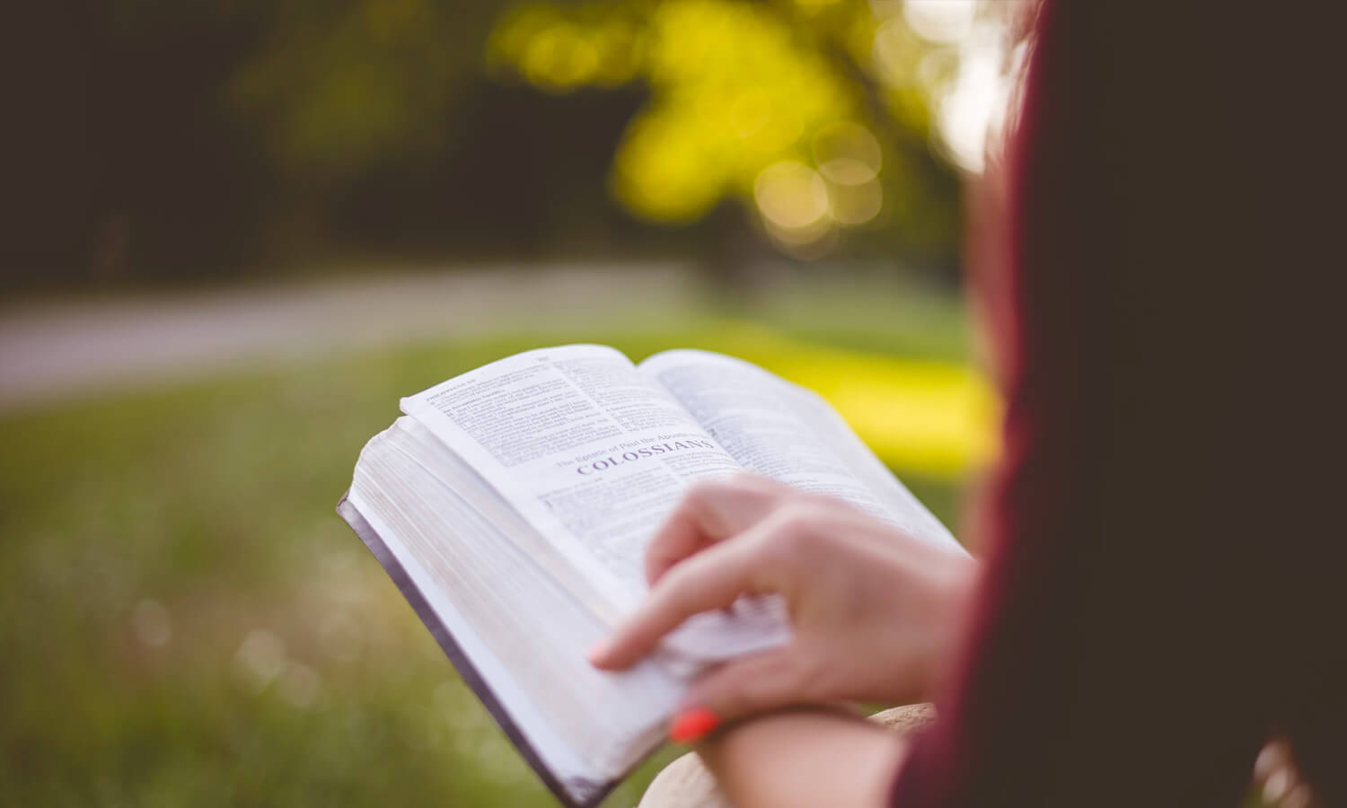 What to do when you finish reading the Bible?