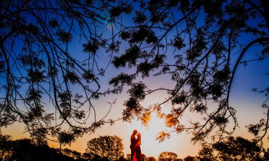 What is the content of the book of Song of Songs in the Bible?