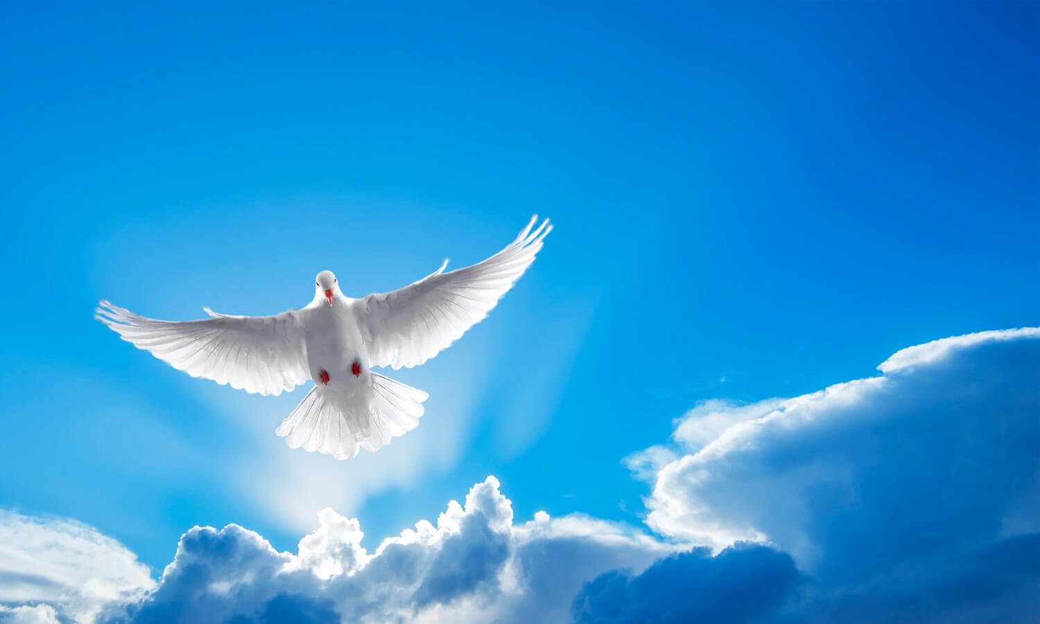 How to walk in the Spirit?