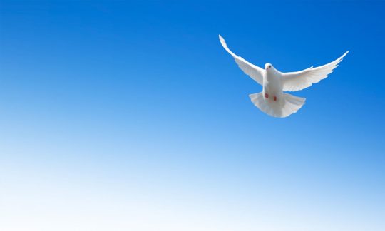 Who is God the Holy Spirit?