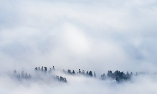 Did Jesus have limitations?