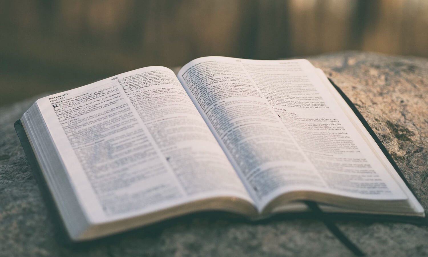 re there any errors in the Bible?