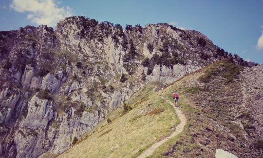 What is perseverance good for?