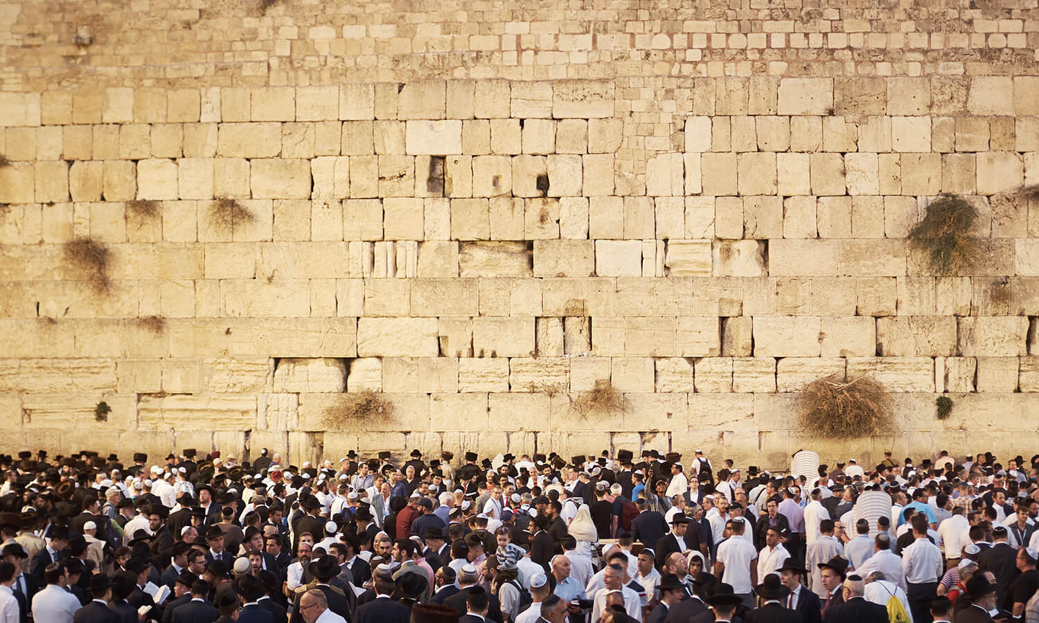 What plan does God have for Israel?