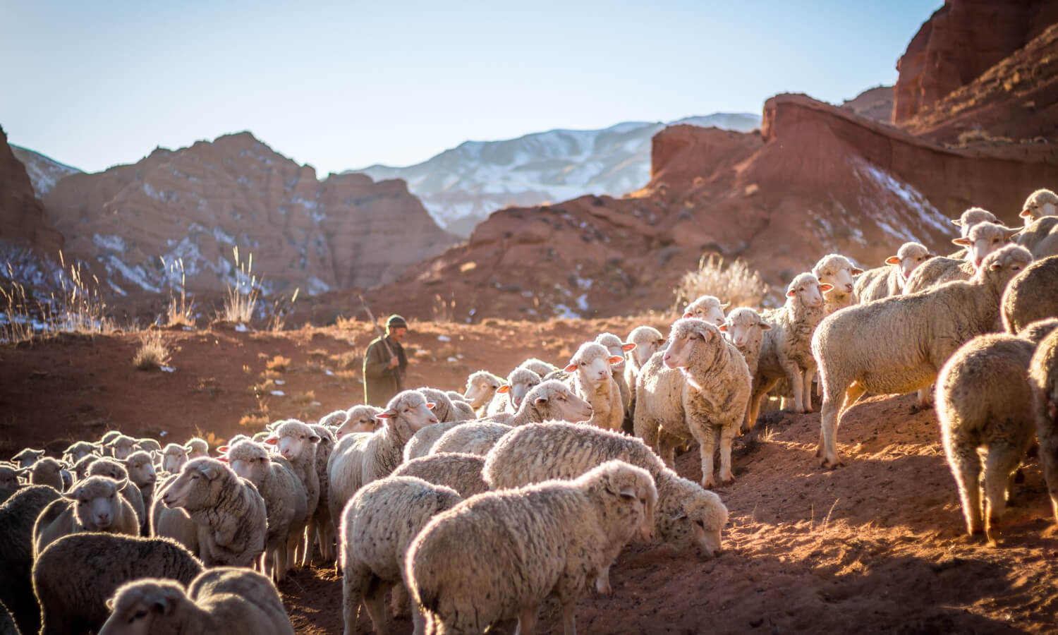 What does the Bible teach us in the book of Amos