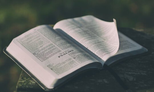 Bible - Devotionals