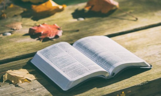 Category Bible