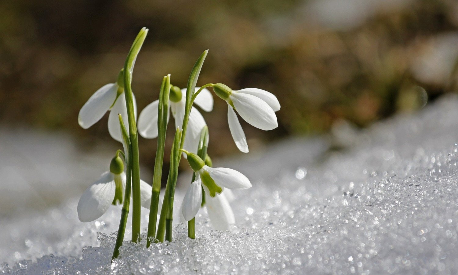 hope