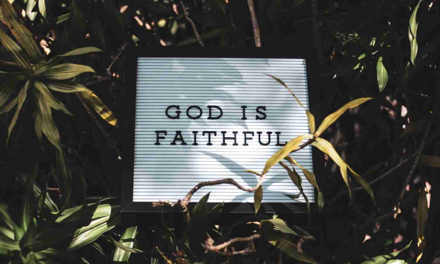 faithful