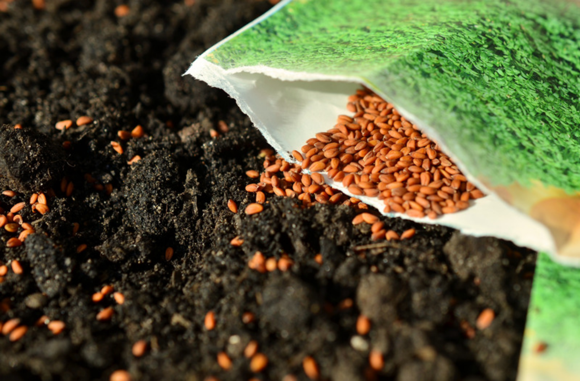 Sowing