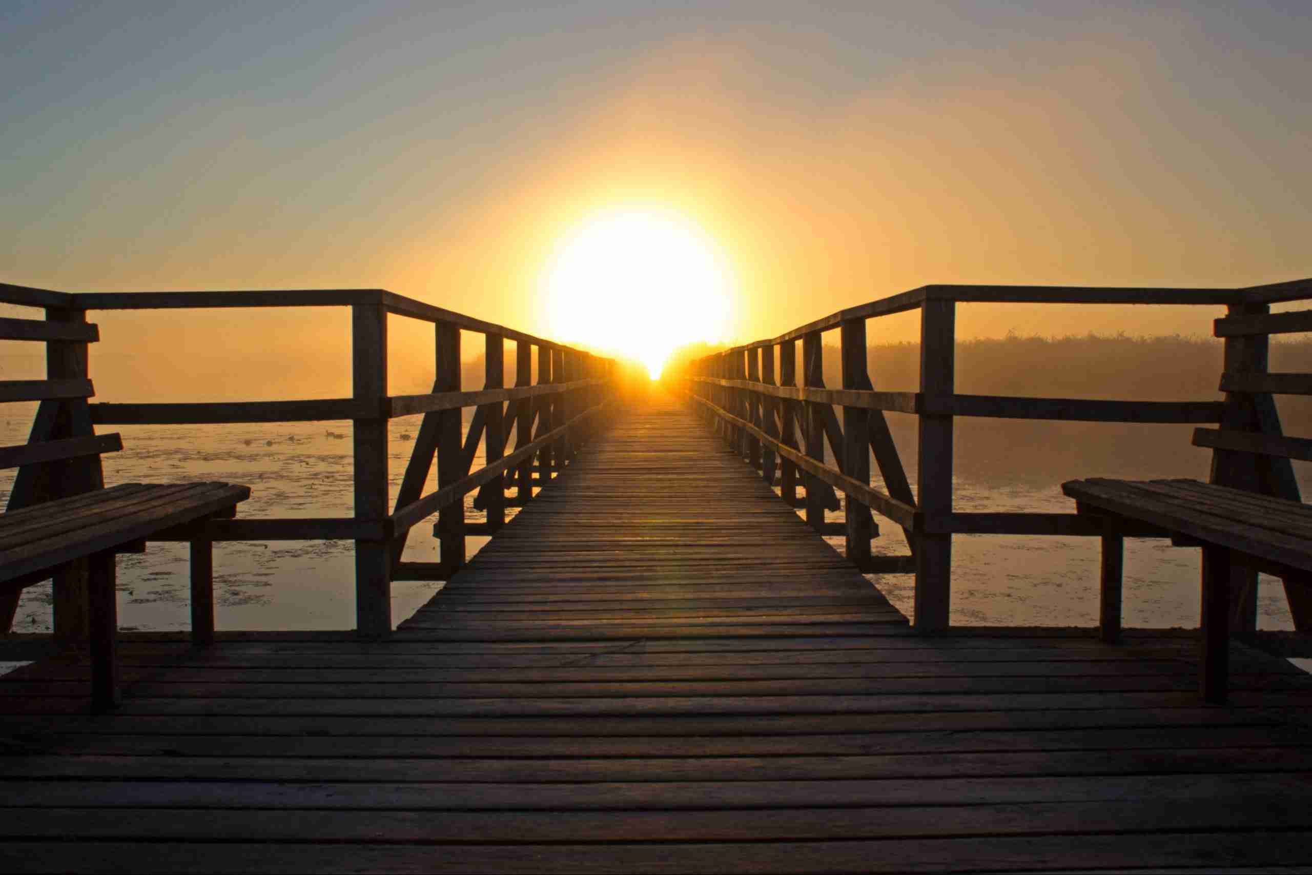jetty-with-wood-fences-on-backside-and-in-the-middle-the-sunset